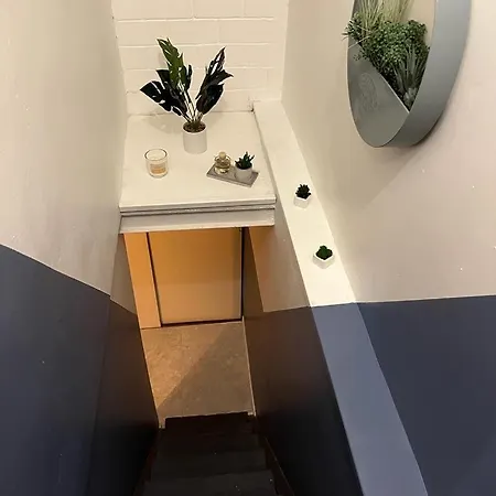 Semesterbostad La Coloc' Docks T6 4 Bathrooms Garden *
